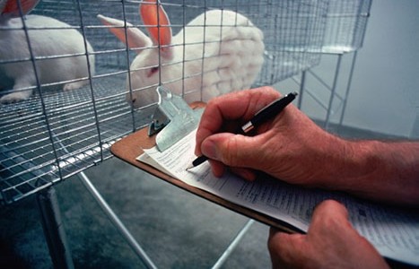 Stop testing on the world’s animals