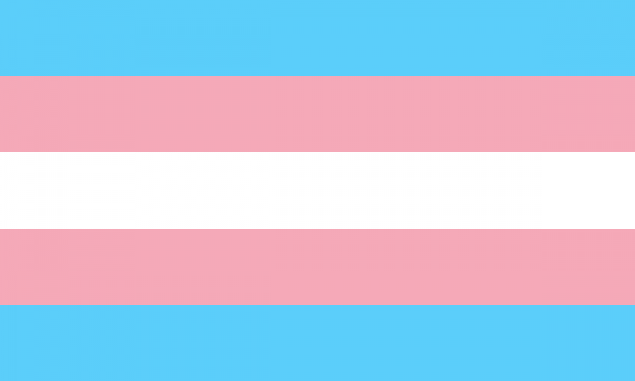 The Transgender Athlete Banning Bill